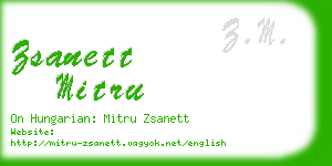 zsanett mitru business card